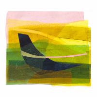 Swartland III